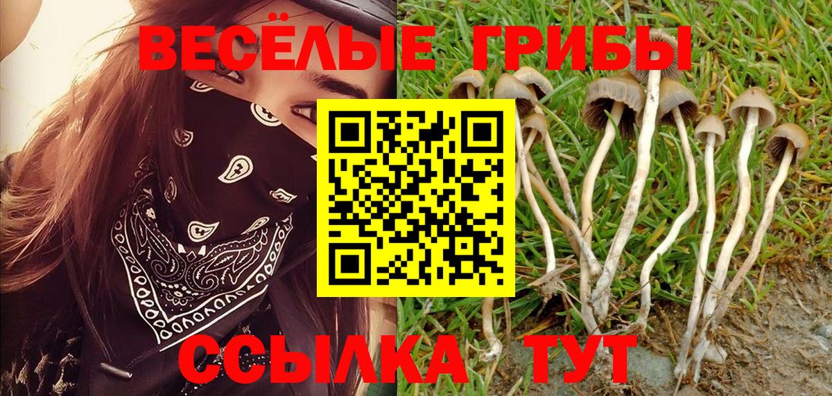 Псилоцибиновые грибы Psilocybe  Вход с VPN  Уфа  Галлюциногенные грибы GOLDEN TEACHER 